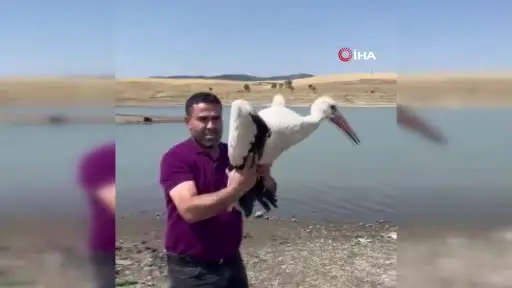 3 ay önce yaralı teslim alınan leylek sağlığına kavuştu, doğaya bırakıldı