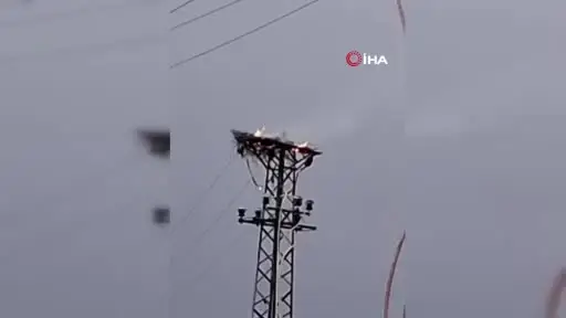 Ankara’da leylek yuvasının bulunduğu direk yandı