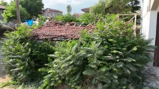 Bir şehir bunu konuşuyor: Keloğlan’ın Çankırılı olduğu iddiası gündem oldu