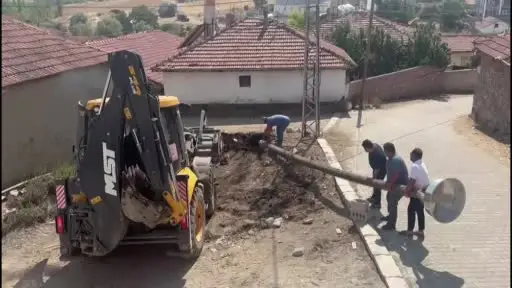Şiddetli rüzgardan yıkılmıştı, yeniden kurulan yuva misafirlerini bekliyor
