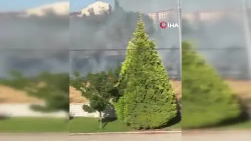 Parkta çıkan yangın paniğe sebep oldu