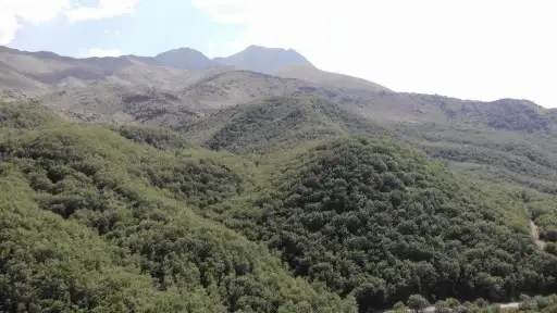 Aksaray jandarma orman yangınlarına karşı teyakkuzda