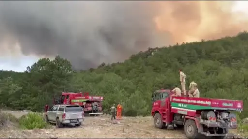 Orman Bölge Müdürü yangının ortasında kaldı