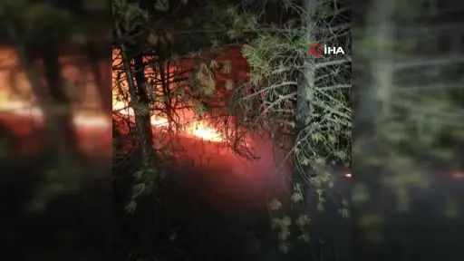 Eskişehir’de orman yangınına karadan müdahale sürüyor