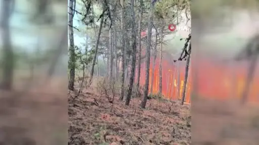 Ekiplerin yangının ortasında kaldığı anlara ait görüntüler ortaya çıktı
