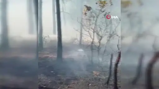 Yangında şehit olan ekibin son görüntüsü ortaya çıktı