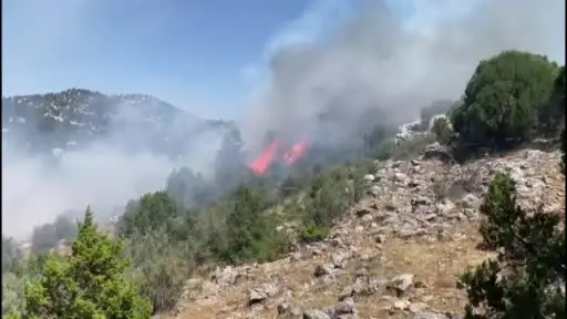 Çöplükte başlayan yangın ormana sıçradı