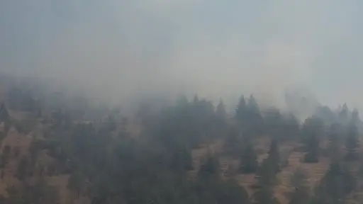 Ankara’daki orman yangını dron ile görüntülendi