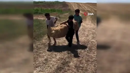 Yol kenarında limonata satarak dondurma parası biriktiren çocuklara sürpriz