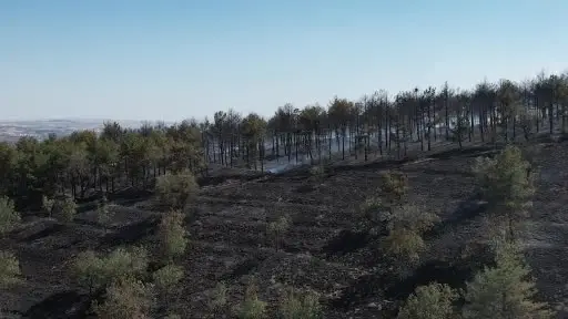 ODTÜ Ormanı’ndaki yangının tahribatı havadan görüntülendi