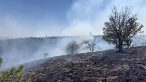 Vali Şahin’den, Eymir Gölü çevresinde çıkan yangına ilişkin açıklama