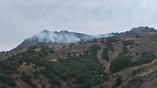 Sivas’ta çıkan orman yangını kısa sürede kontrol altına alındı