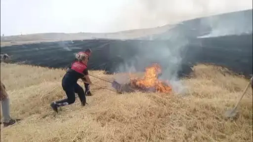 ÇEDAŞ’ın arızalanan trafosu 400 dönüm araziyi küle çevirdi