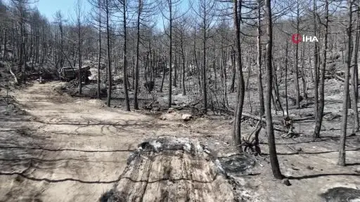 Yangında 10 görevlinin şehit olduğu alandaki araçlar çekiliyor