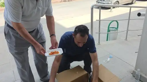 Aksaray’da yaralı kızıl şahin bulundu