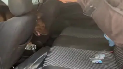 Zehir taciri aracındaki 1 kilo kokain ile yakalandı