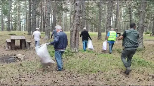 Orman yangınlarından etkilendiler, köylerindeki ormanı temizlediler