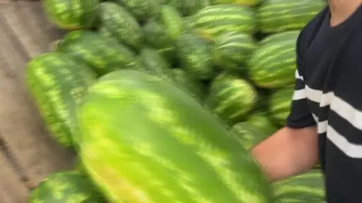 Yapay zeka pazara indi, karpuz seçimine başladı