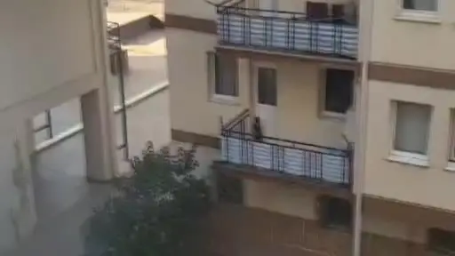 Kedinin balkona mahkum edildiği iddiası polisi harekete geçirdi