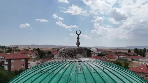 Bu caminin kubbesi yıllardır leyleklere ev sahipliği yapıyor