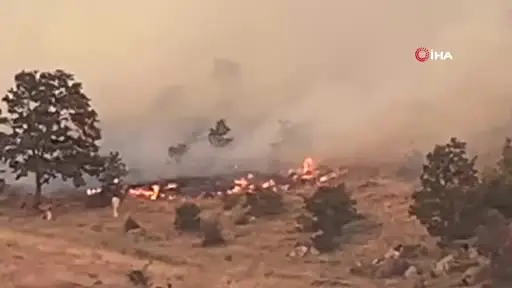 Aksaray’da ağaçlık alanda yangın