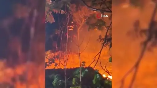 Kırıkkale’de ağaçlık alanda yangın
