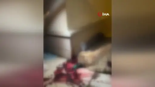 Kendisine saldıran sokak köpeğini silahla vurdu