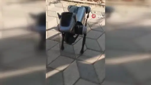 Kent merkezindeki robot köpek görenleri hayrete düşürdü