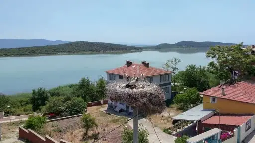 DKMP Genel Müdürlüğü: "Yaren’in yavruları göç yolculuğunda"