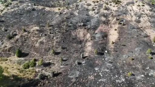 Sivas’ta ağaçlık alanda yangın çıktı, ekiplerin müdahalesi sürüyor