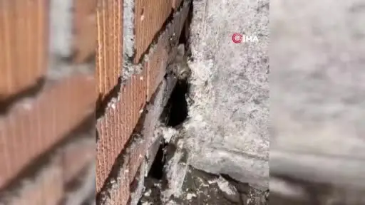 Anne kedi ve 4 yavrusu sıkıştıkları yerden kurtarıldı
