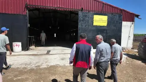 Niğde’de 190 bin hayvana şap aşısı yapıldı