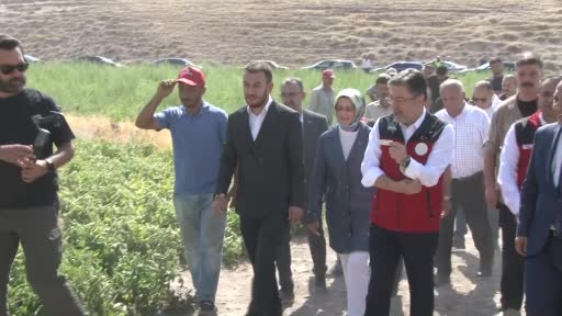 Bakan Yumaklı: "Türkiye domates üretiminde dünyada 3’üncü sırada"
