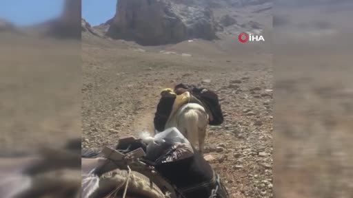 Aladağlar’ın şerpaları: Katırlarla zirve yolculuğu