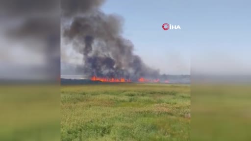 Beyşehir’de sazlık alanda çıkan yangın havadan müdahale ile söndürüldü