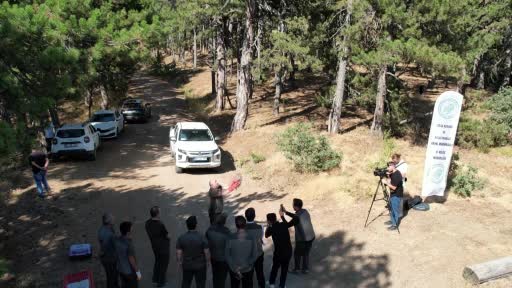 Doğaya kavuşan canlar: DKMP 76 bin yaban hayvanını doğaya kazandırdı