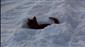 Eski kışlar geri geldi, Kızılırmak’ın yüzeyi kısmen dondu
