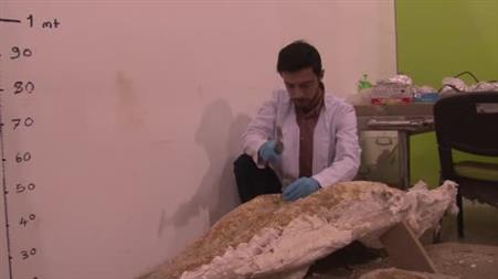 7,7 milyon yıllık tarihe ışık tutan Taşhan’da daha sonraki dönemlerde yaşayan türlerin fosilleri bulundu