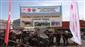 Yozgat’ta 20 manda üreticilere teslim edildi