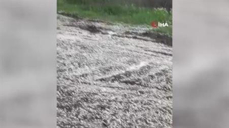 Başkentte dolu yağışı
