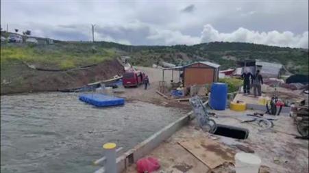 Yozgat’ta ‘Kaptan Tavuk’ görenleri gülümsetti