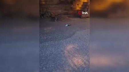 Ayran kutusuna sıkışan kirpinin zor anları kamerada