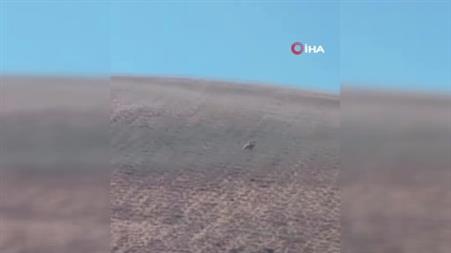 Aç kalan ayı kovanları parçaladı, kaçarken görüntülendi