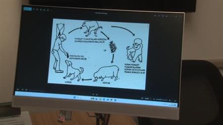 Kurban Bayramı öncesinde "köpek kistine" dikkat
