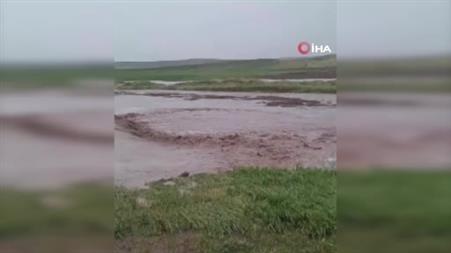 Kozaklı’da dolu ve sağanak tarım arazilerini vurdu