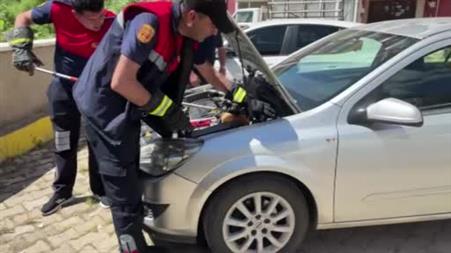 Yozgat’ta otomobile giren yılanı itfaiye ekipleri çıkardı