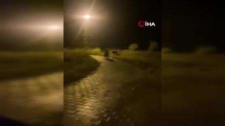 Yozgat’ta köy içerisinde iki ayı görüntülendi