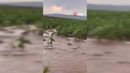 Kayseri’de tarım arazileri sular altında kaldı