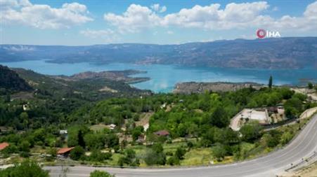 Zehra’nın hayvan sevgisi sosyal medyada ilgi odağı oldu