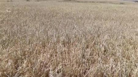 TZOB Genel Başkanı Bayraktar ’tarımsal üretimin sürdürülebilirliğinin önemine’ vurgu yaptı
